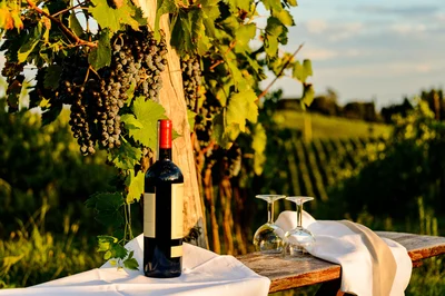 Hill Country Wineries by Rental Car: Safe Routes & Parking
