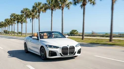 Family driving a car rental on a sunny highway lined with palm trees in Florida