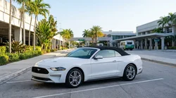 Rows of parked vehicles outside a bright airport car rental centre in Miami