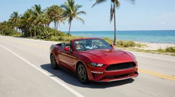 White car rental driving along a sunny coastal highway lined with palm trees in Florida