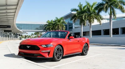 A bright red convertible car rental driving past palm trees and art deco buildings in Miami