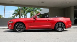 A white convertible car rental parked along a sunlit street with palm trees in Miami