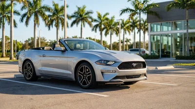 A white car rental parked under green palm trees on a sunny street in Miami