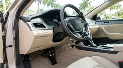 Driver operating adaptive hand controls in a car rental on a sunny palm-lined highway in Florida