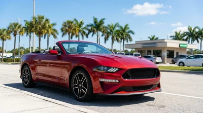 White car rental driving past palm trees on a sunny coastal highway in Florida