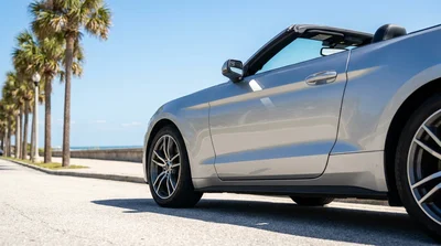 Driver inspecting the roof of a white car rental parked under palm trees in Florida