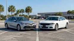 A standard sedan and a large SUV parked under green palm trees at a sunny Florida car rental lot