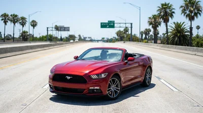 Silver car rental driving on a sunny Florida highway passing a state border sign