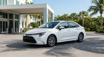 Driver inspecting front bumper damage on a white car rental parked near palm trees in Florida
