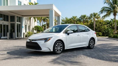 Driver inspecting front bumper damage on a white car rental parked near palm trees in Florida