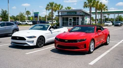 Row of modern vehicles parked in a sunlit car rental lot surrounded by palm trees in Orlando