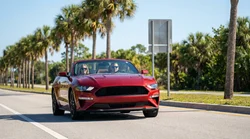 White car rental passing a US speed limit sign on a sunny Florida road lined with palm trees
