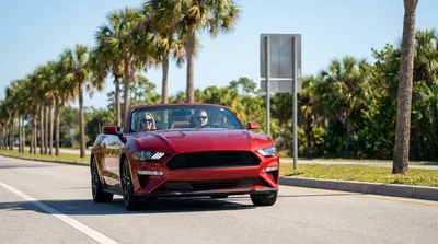 White car rental passing a US speed limit sign on a sunny Florida road lined with palm trees