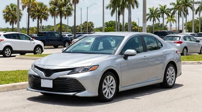 White car rental driving on a scenic highway surrounded by palm trees in Florida