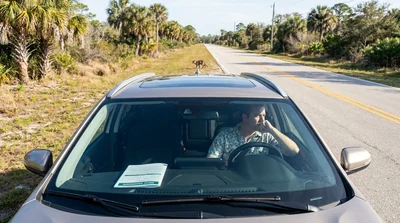 A silver car rental parked on a scenic rural road in Florida with a wild deer standing in the grass nearby