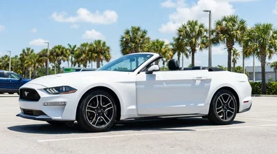 White convertible car rental parked beside tall palm trees on a sunny beach in Florida