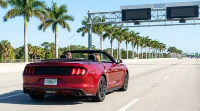 Rear license plate of a white car rental driving on a sunny Florida toll road