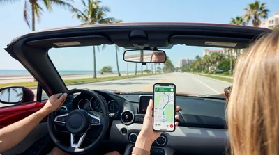 Driver checking a smartphone map inside a car rental parked near sunny palm trees in Florida
