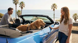 Happy dog looking out the passenger window of a car rental driving along a sunny coastal highway in California