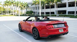 Woman looking at a smartphone next to a parked car rental on a sunny Miami street lined with palm trees