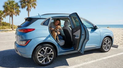 Small dog looking out the window of a car rental parked on a sunny street in Florida