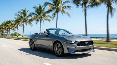 Couple driving a car rental down a sunny coastal highway lined with palm trees in Florida