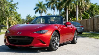 Silver car rental driving along a sunny highway lined with palm trees in Florida