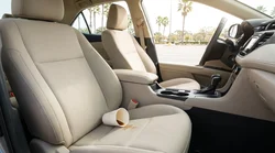 Close-up of a coffee stain on the passenger seat of a car rental parked under palm trees in Florida