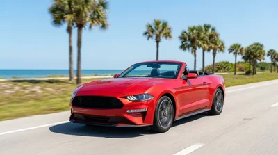 A white car hire driving along a sunny coastal road lined with palm trees in Florida