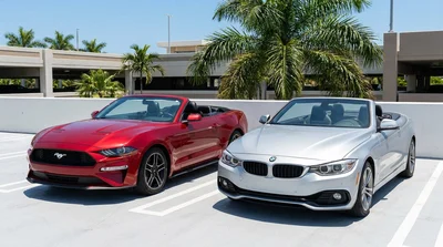 White convertible car rental driving past palm trees on a sunny coastal road in Miami
