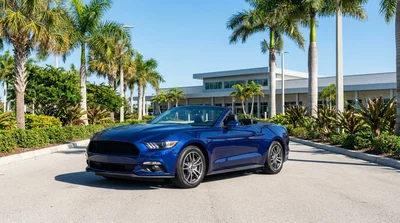 White convertible car hire driving along a sunny coastal highway lined with palm trees in Florida