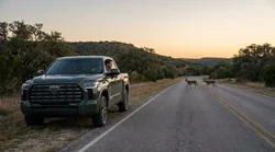 White car rental driving on a rural Texas highway past a yellow deer crossing sign