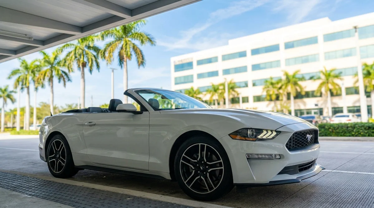 White SUV parked under green palm trees outside a car rental office in Miami