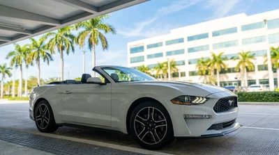 White SUV parked under green palm trees outside a car rental office in Miami
