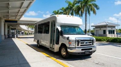Row of parked vehicles at an outdoor car rental lot with palm trees in Miami