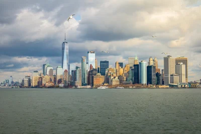 Car Insurance with Rentals in New York: Everything You Need to Know